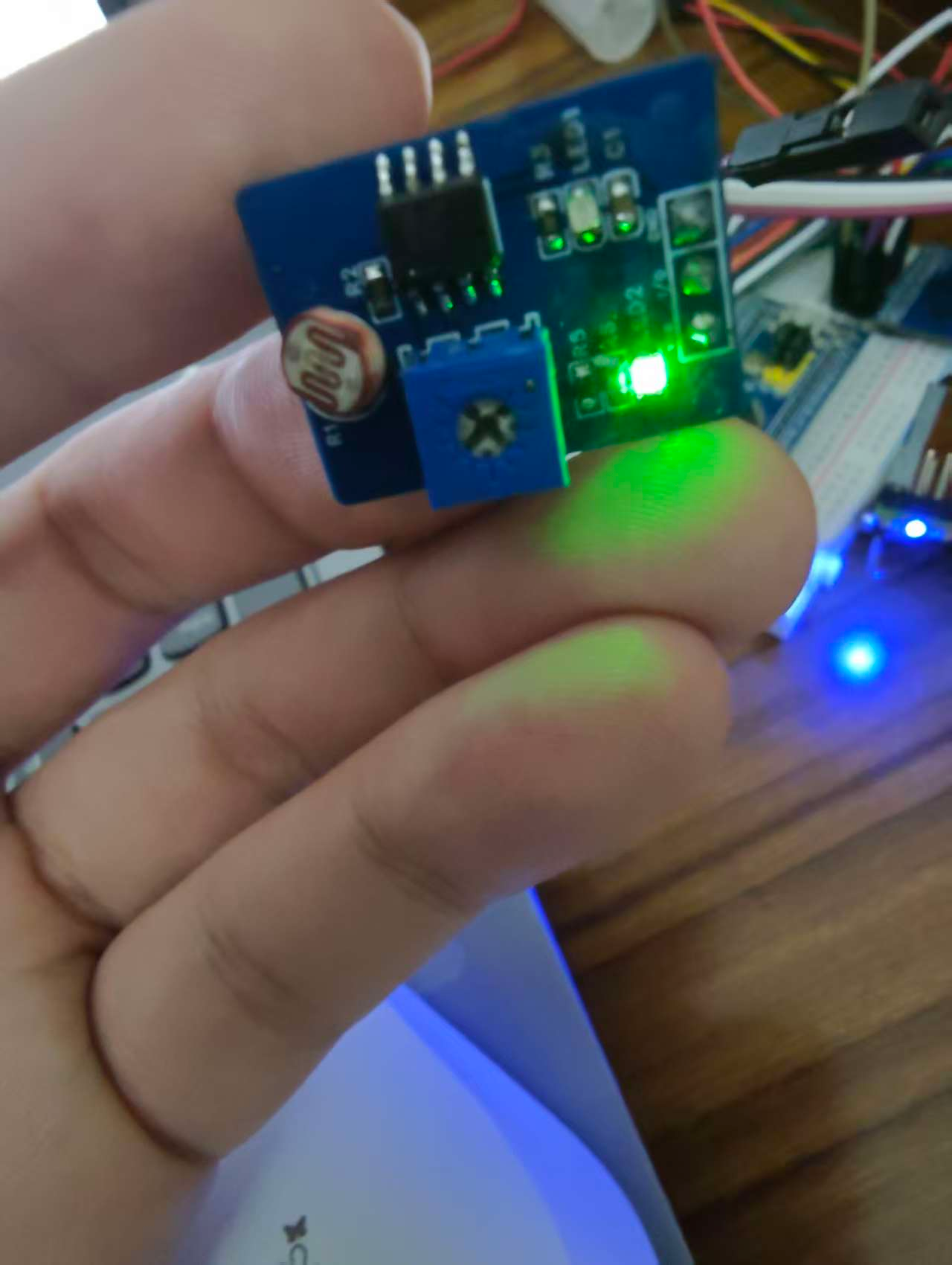 image-20251005211303829